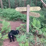 Campeggio Bank Camping-north York Moors With Pitches For Caravans, Camper Vans And Tents Pickering
